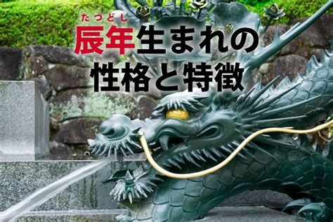 龍 辰年|2024年の干支は辰！辰（竜）年の特徴や性格は？ 